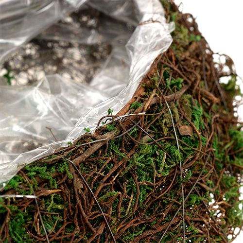 Floristik24 Növény hullám szőlő, moha 45cm x 18cm H7cm