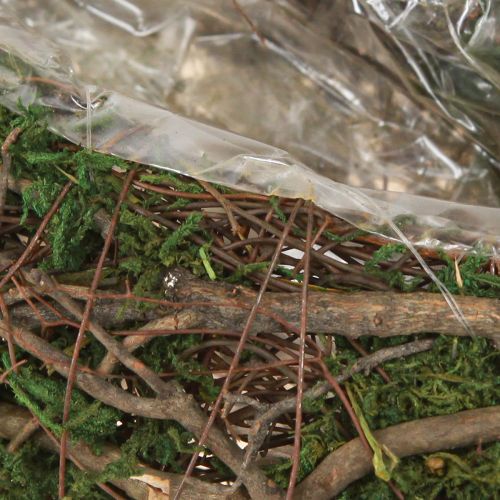 Floristik24 Plant Wave Vines kis virágtál mohával 31×15×7cm