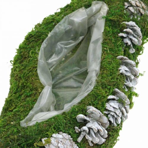 tételeket Ültetőmoha és toboz hullámzöld, mosott fehér 41 × 15 cm