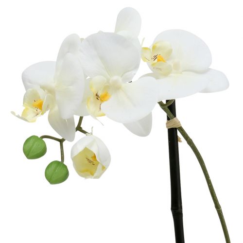 tételeket Phalaenopsis fehér tál virágdíszben H38cm
