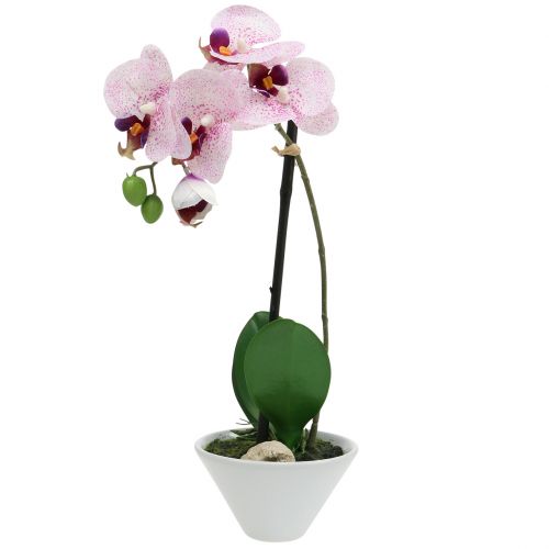 Floristik24 Mesterséges Phalaenopsis lila-fehér tálban H38cm