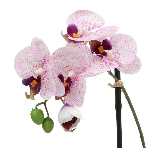 Floristik24 Mesterséges Phalaenopsis lila-fehér tálban H38cm