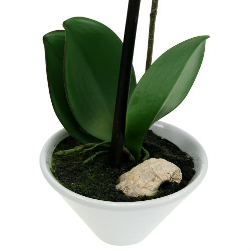 Floristik24 Mesterséges Phalaenopsis lila-fehér tálban H38cm