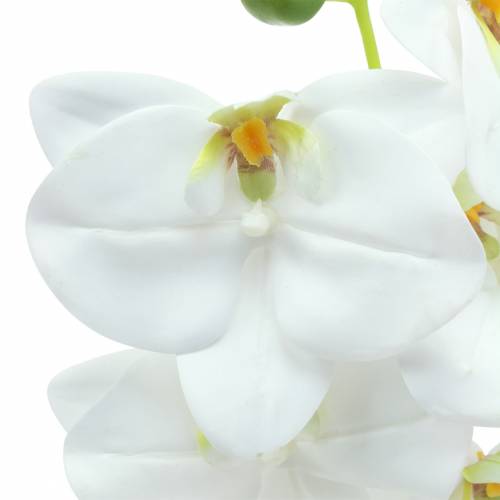 Floristik24 Mesterséges orchideaág Phaelaenopsis White H49cm
