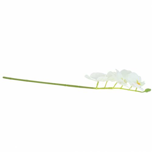 Floristik24 Mesterséges orchideaág Phaelaenopsis White H49cm