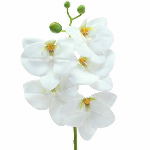 Floristik24 Mesterséges orchideaág Phaelaenopsis White H49cm