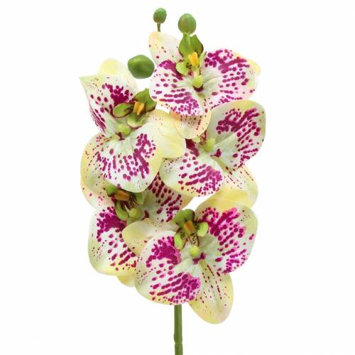 Floristik24 Mesterséges orchideaág Phaelaenopsis Green Pink H49cm