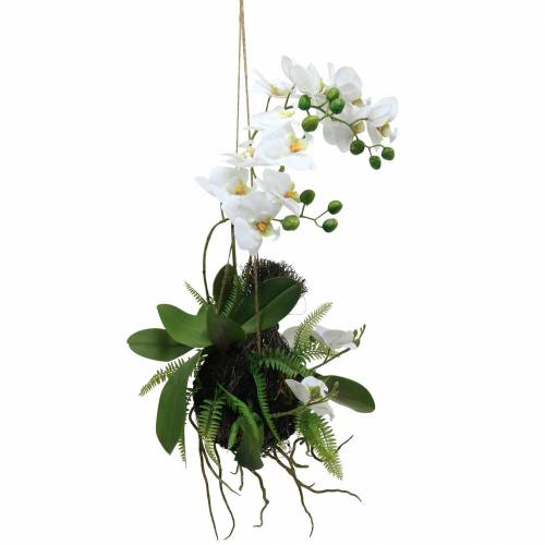 Floristik24 Orchidea páfrány- és mohagolyókkal mesterséges fehér függő 64cm