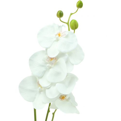 Floristik24 Orchidea Phalaenopsis műfehér 80cm