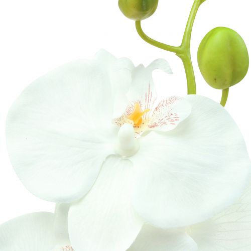 Floristik24 Orchidea Phalaenopsis műfehér 80cm