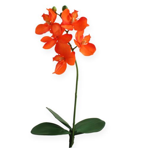 Floristik24 Mesterséges orchidea narancssárga levelekkel 35cm