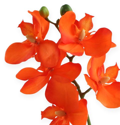 tételeket Mesterséges orchidea narancssárga levelekkel 35cm