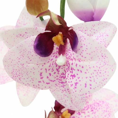 tételeket Mesterséges orchidea Phaleanopsis fehér, lila 43cm