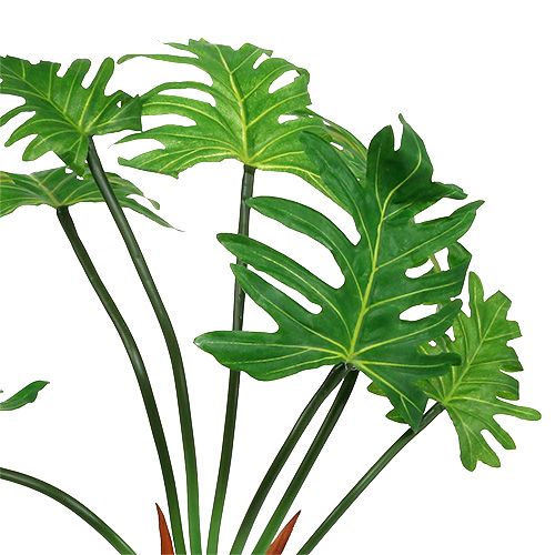 Floristik24 Philodendron növény műzöld 58cm