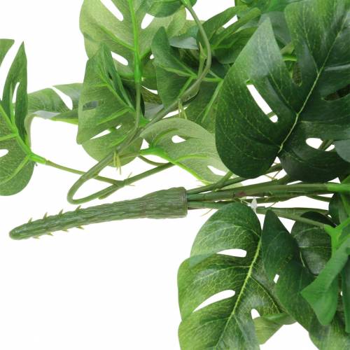 Floristik24 Philodendron fogas zöld 85cm