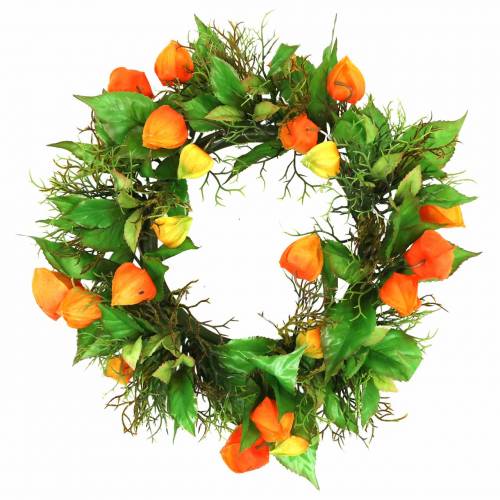 Floristik24 Physalis koszorú műnarancs, zöld Ø28cm őszi dekoráció
