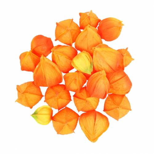 Physalis Orange Vegyes 22db Dekoratív művirágkehely