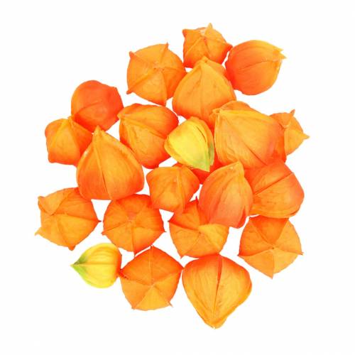 Floristik24 Physalis Orange Vegyes 22 db dekoratív műkehely