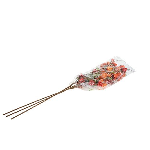 Floristik24 Physalis ág 90cm narancs 3db