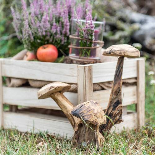 Floristik24 Gomba szilvafa H27cm