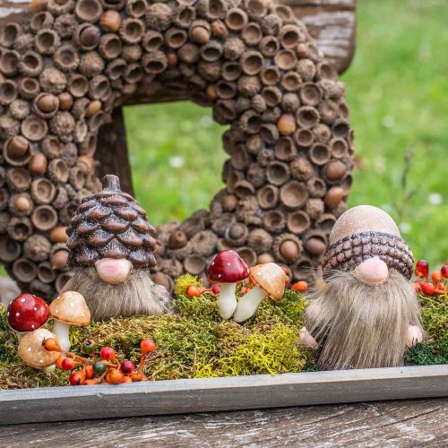 Floristik24 Gomba válogatott 3cm x 5cm huzalon 48 db