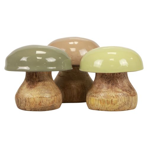 Floristik24 Fagomba Deco gomba Wood Deco bézs, zöld Ø5cm H5,5cm 12db