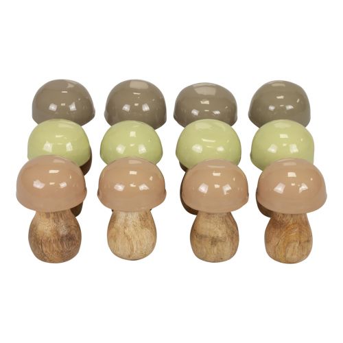 Floristik24 Fa gomba dekoratív gomba fa bézs, zöld Ø5cm 7,5cm 12db
