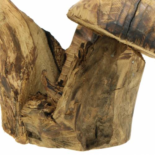 Floristik24 Gomba szilvafa H27cm