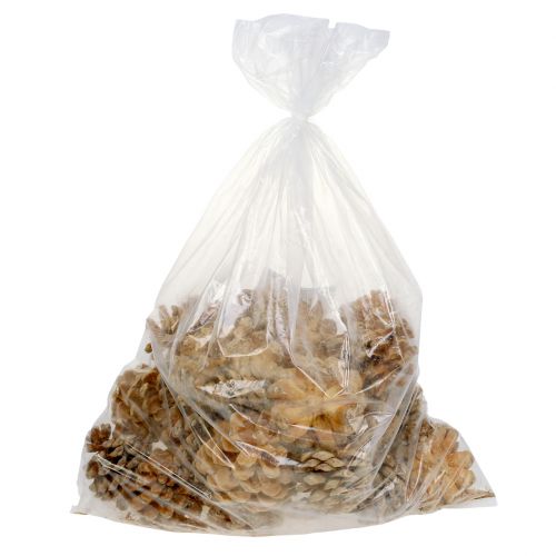 tételeket Fenyőtoboz Pinus Pinea toboz krém vegyes 5-18cm 25 db