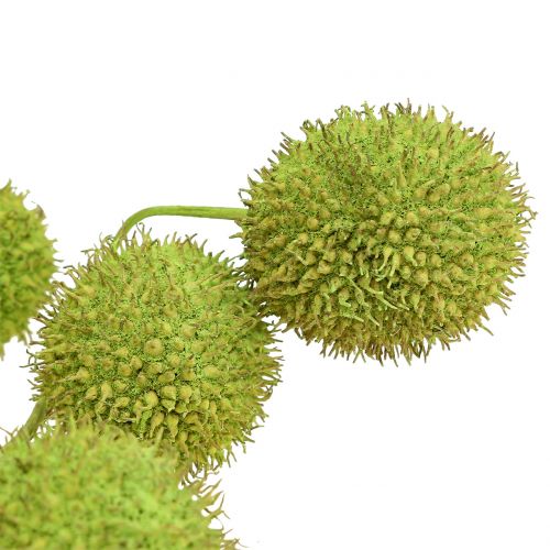 Floristik24 Platán gyümölcsök zöld 200g