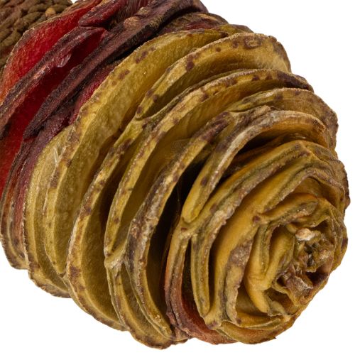 tételeket Platyspermum krém 1-3, 50 fej