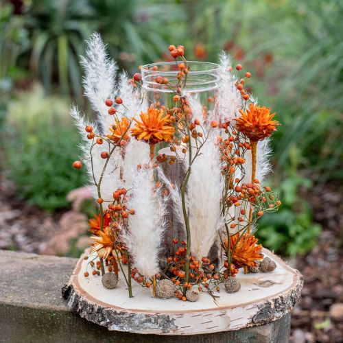 tételeket Plumosum 1 Narancs 25 db