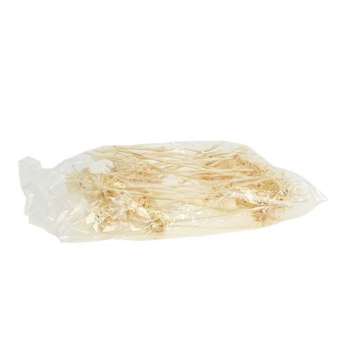 tételeket Plumosum 1 fehérített 25 db