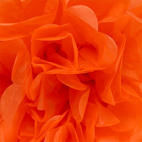 tételeket Pompon papír Ø 30 cm. 5 db