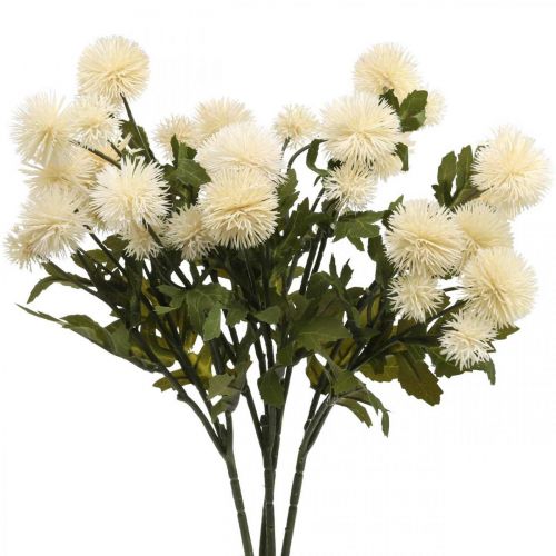Floristik24 Pompon ág krém deco ág ősz 55cm 4db