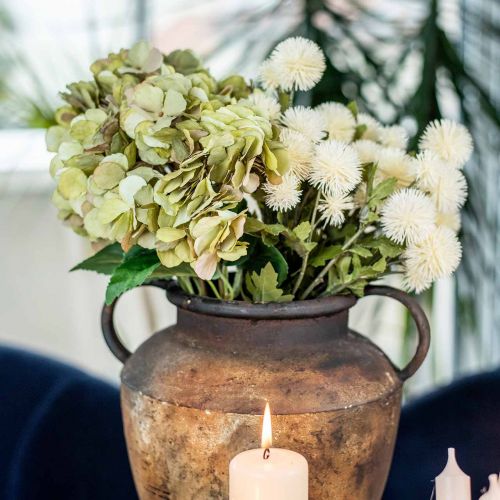 Floristik24 Pompon ág krém deco ág ősz 55cm 4db