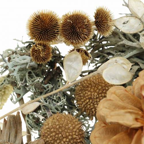 Floristik24 Herbstdeko Mix kézműves készletként Szárított Fehérített 150g