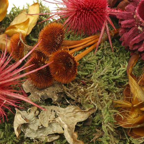 tételeket Száraz virágkötő keverék tobozokkal és mohavörös 150g őszi dekorációval