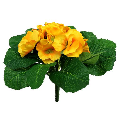 Primrose 15cm Sárga