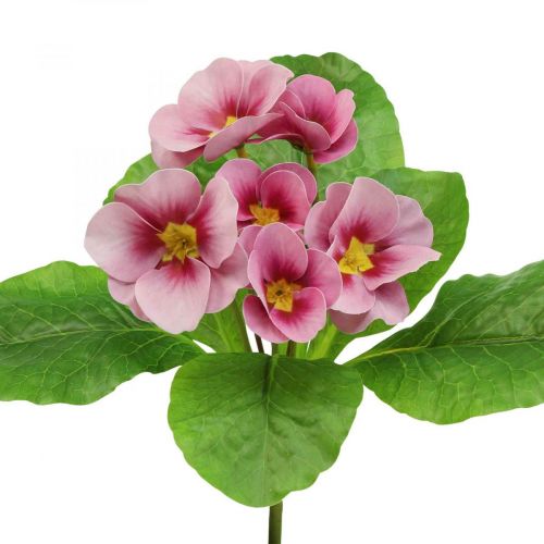 tételeket Primroses Művirágok Cowslips Pink H25cm