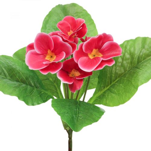 tételeket Primroses művirágok Cowslips Pink H25cm