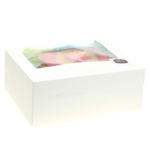 Floristik24 Kézműves készlet Lehner gyapjú tavaszi színű