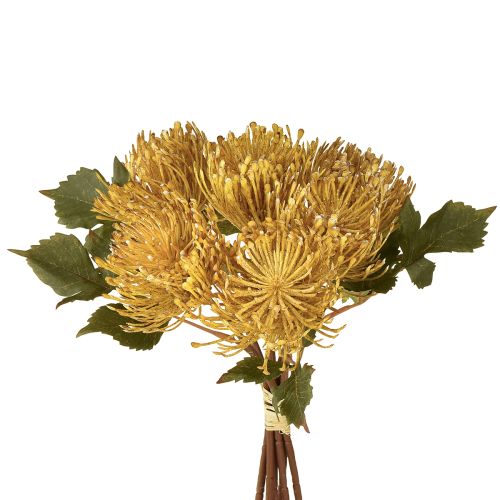 Floristik24 Protea művirág Leucospermum tűpárna sárga 30cm 6 db