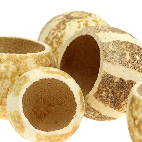 Floristik24 Tökpohár fehérített 20 db