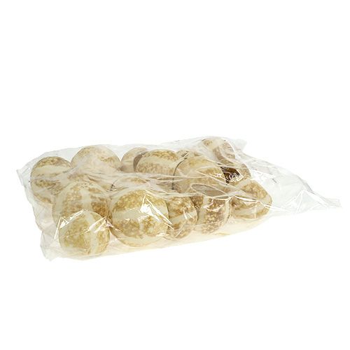 Floristik24 Tökpohár fehérített 20 db