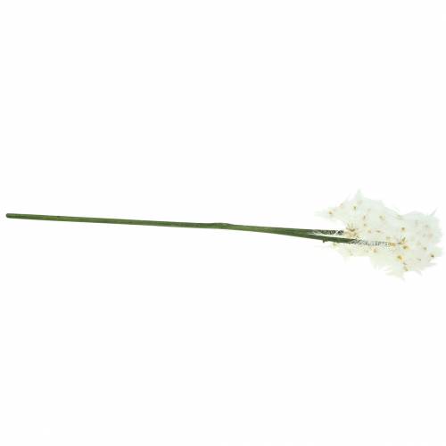 tételeket Műréti virág óriás pitypang fehér 57cm