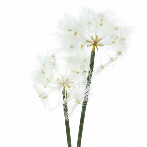 Műréti virág óriás pitypang fehér 57cm