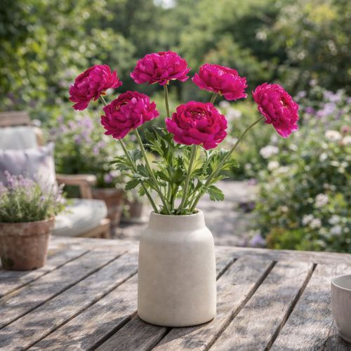 tételeket Műboglárka egyetlen virágként időtlen és sokoldalú belsőépítészethez, 51 cm, 3 darab