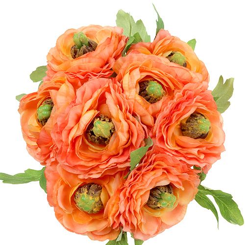 Floristik24 Ranunculus narancs 27cm 8db