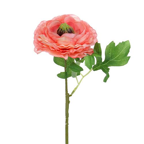 tételeket Ranunculus rózsa-rózsaszín 27cm 8db